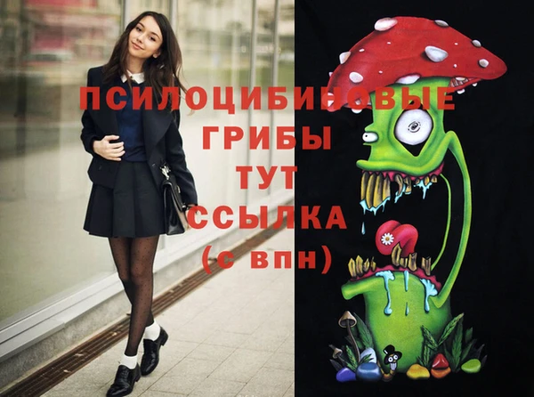 трава Аркадак
