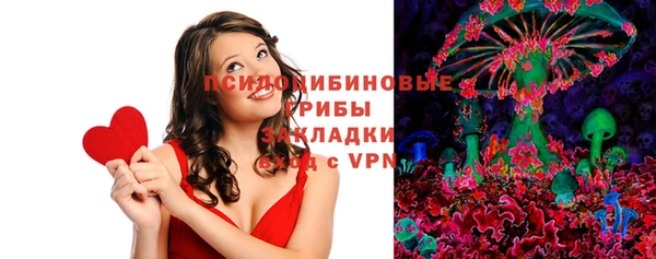 метадон Алексин