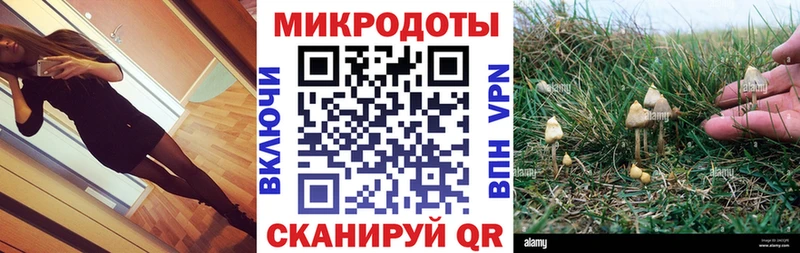 где можно купить   Грайворон  omg онион  Псилоцибиновые грибы Magic Shrooms 